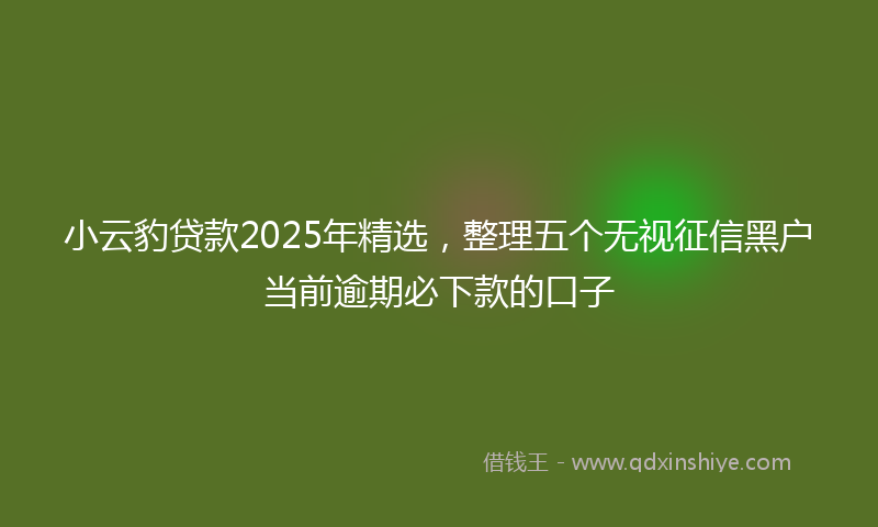 小云豹贷款2025年精选，整理五个无视征信黑户当前逾期必下款的口子