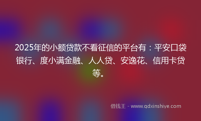 2025年的小额贷款不看征信的平台有：平安口袋银行、度小满金融、人人贷、安逸花、信用卡贷等。
