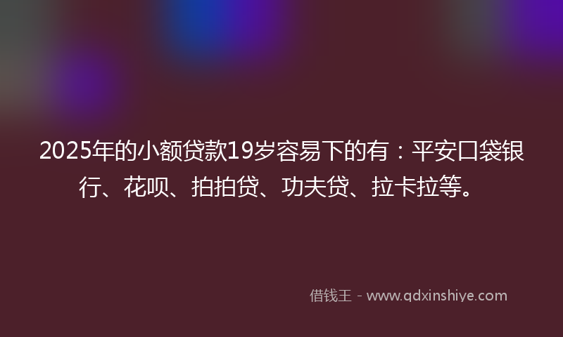 2025年的小额贷款19岁容易下的有：平安口袋银行、花呗、拍拍贷、功夫贷、拉卡拉等。