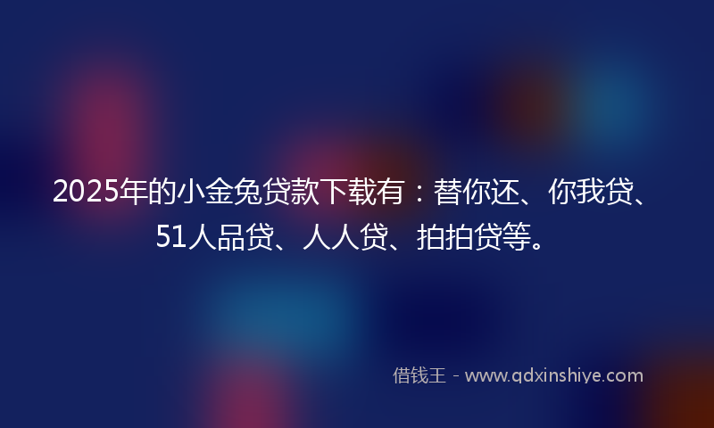 2025年的小金兔贷款下载有：替你还、你我贷、51人品贷、人人贷、拍拍贷等。