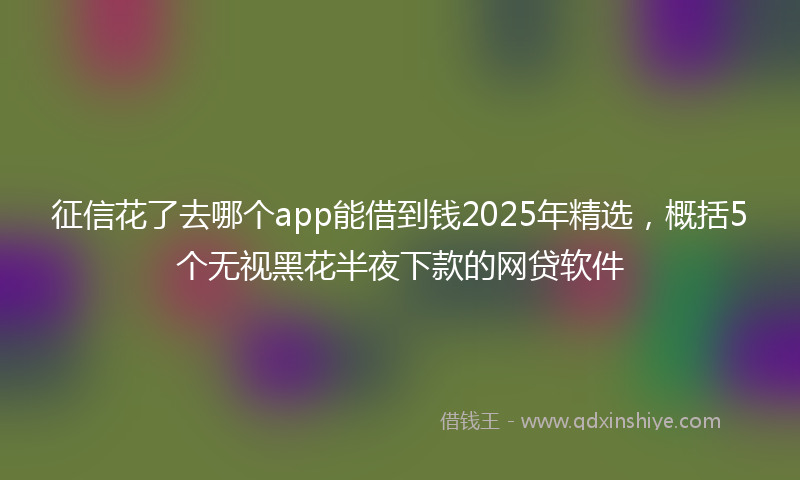 征信花了去哪个app能借到钱2025年精选，概括5个无视黑花半夜下款的网贷软件