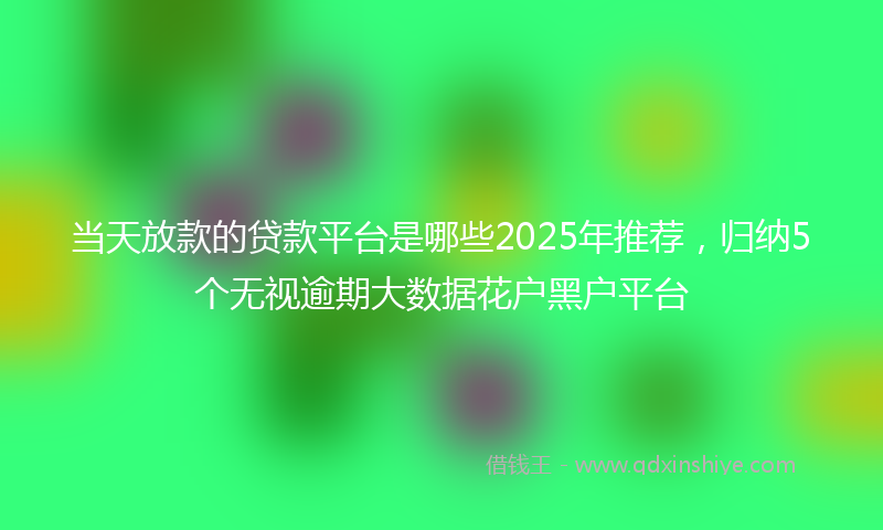 当天放款的贷款平台是哪些2025年推荐，归纳5个无视逾期大数据花户黑户平台