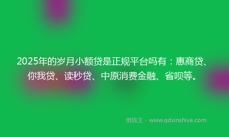 2025年的岁月小额贷是正规平台吗有：惠商贷、你我贷、读秒贷、中原消费金融、省呗等。