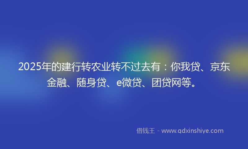 2025年的建行转农业转不过去有：你我贷、京东金融、随身贷、e微贷、团贷网等。