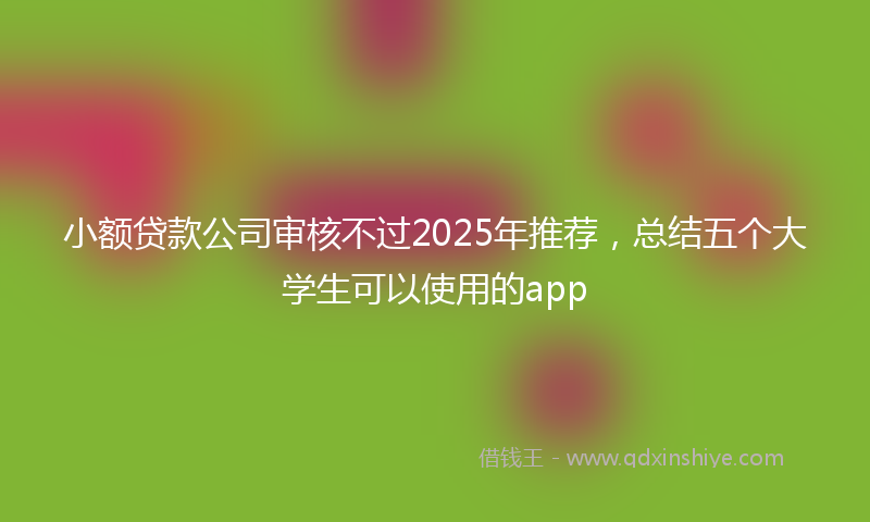 小额贷款公司审核不过2025年推荐，总结五个大学生可以使用的app