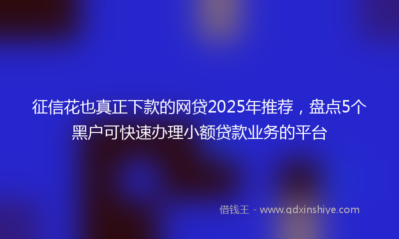 征信花也真正下款的网贷2025年推荐，盘点5个黑户可快速办理小额贷款业务的平台