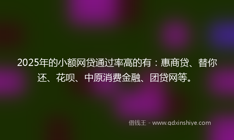 2025年的小额网贷通过率高的有：惠商贷、替你还、花呗、中原消费金融、团贷网等。