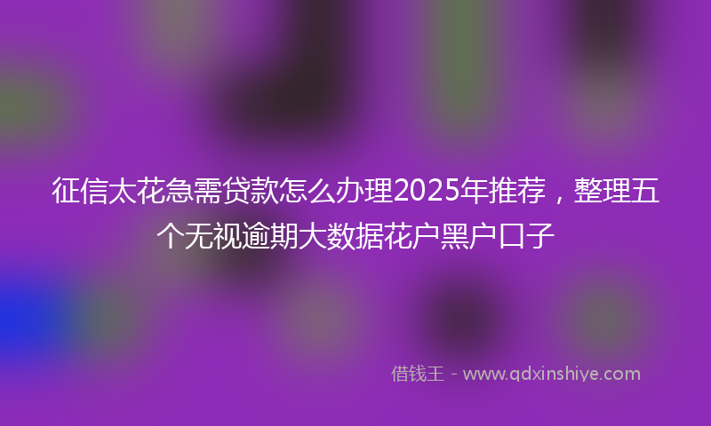征信太花急需贷款怎么办理2025年推荐，整理五个无视逾期大数据花户黑户口子