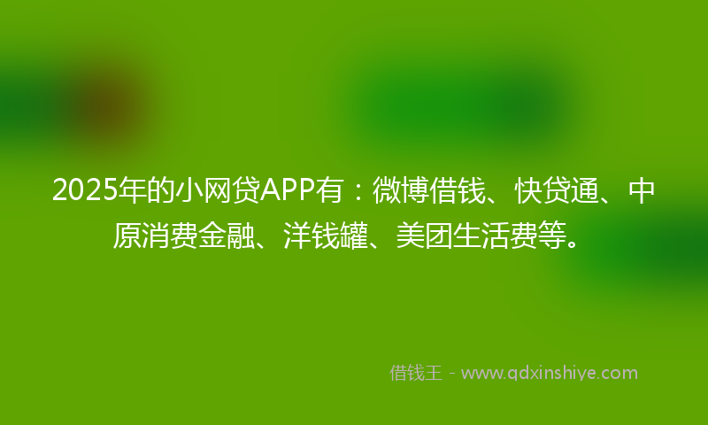2025年的小网贷APP有：微博借钱、快贷通、中原消费金融、洋钱罐、美团生活费等。
