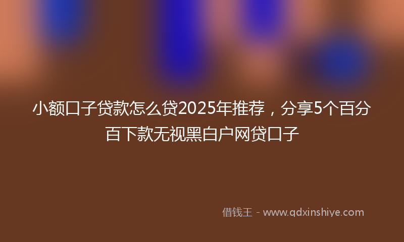 小额口子贷款怎么贷2025年推荐，分享5个百分百下款无视黑白户网贷口子