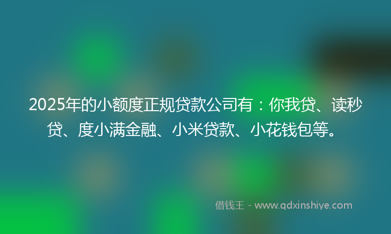 2025年的小额度正规贷款公司有：你我贷、读秒贷、度小满金融、小米贷款、小花钱包等。