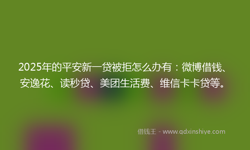 2025年的平安新一贷被拒怎么办有：微博借钱、安逸花、读秒贷、美团生活费、维信卡卡贷等。