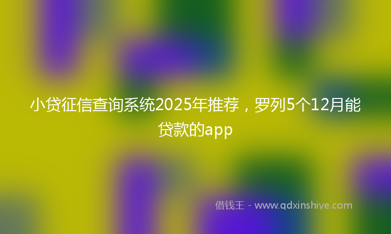 小贷征信查询系统2025年推荐，罗列5个12月能贷款的app