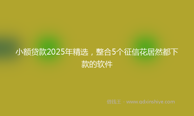 小额贷款2025年精选，整合5个征信花居然都下款的软件