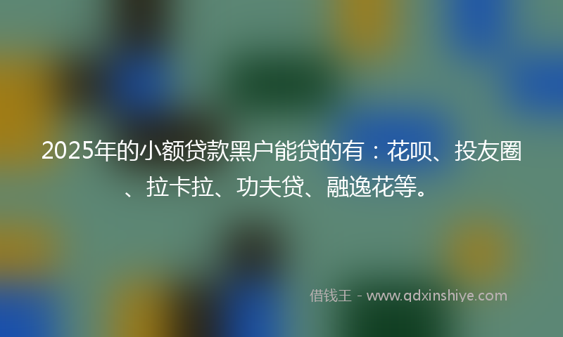 2025年的小额贷款黑户能贷的有：花呗、投友圈、拉卡拉、功夫贷、融逸花等。