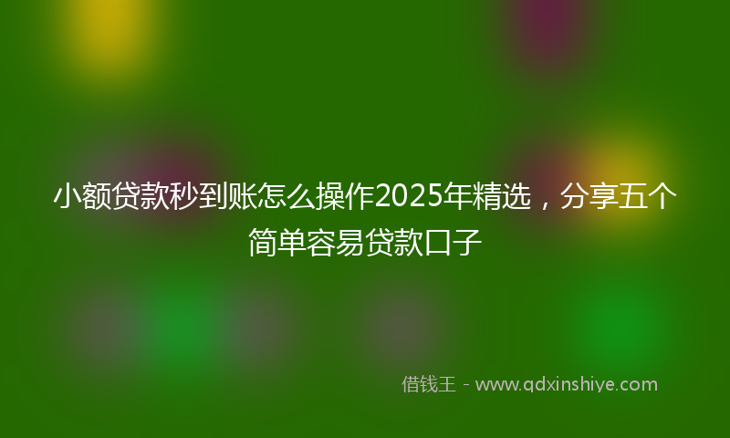 小额贷款秒到账怎么操作2025年精选，分享五个简单容易贷款口子