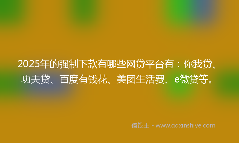 2025年的强制下款有哪些网贷平台有：你我贷、功夫贷、百度有钱花、美团生活费、e微贷等。