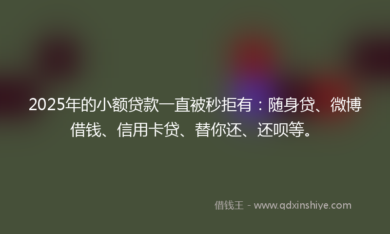 2025年的小额贷款一直被秒拒有：随身贷、微博借钱、信用卡贷、替你还、还呗等。