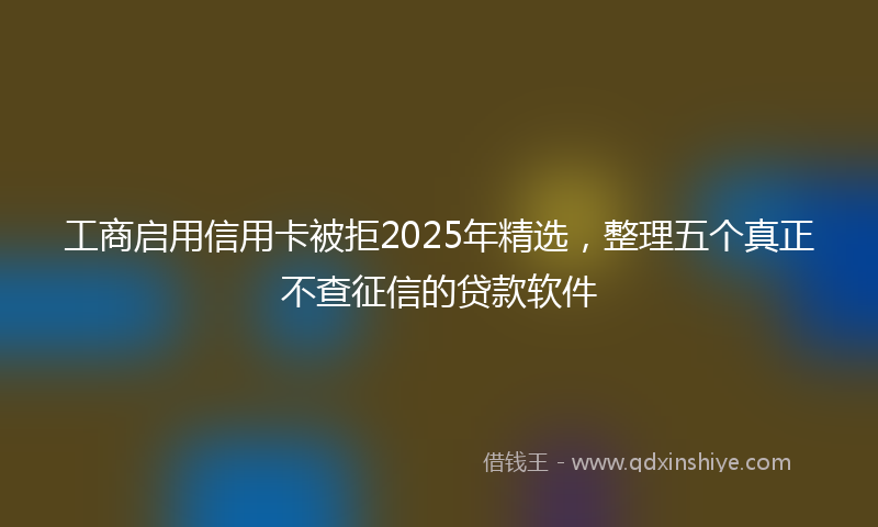 工商启用信用卡被拒2025年精选，整理五个真正不查征信的贷款软件