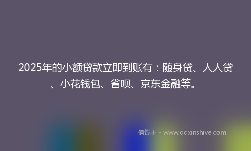 2025年的小额贷款立即到账有：随身贷、人人贷、小花钱包、省呗、京东金融等。