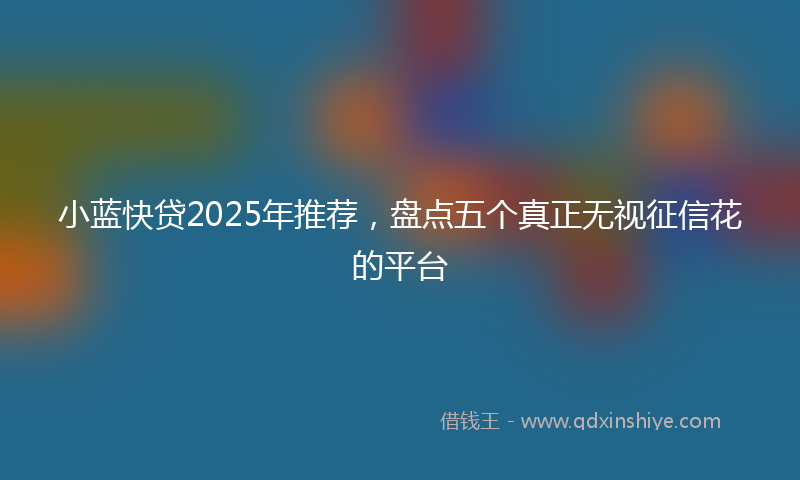 小蓝快贷2025年推荐，盘点五个真正无视征信花的平台