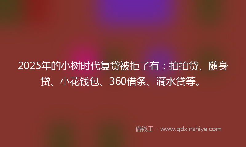 2025年的小树时代复贷被拒了有：拍拍贷、随身贷、小花钱包、360借条、滴水贷等。
