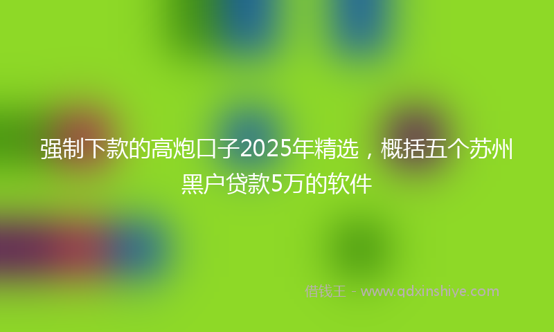 强制下款的高炮口子2025年精选，概括五个苏州黑户贷款5万的软件