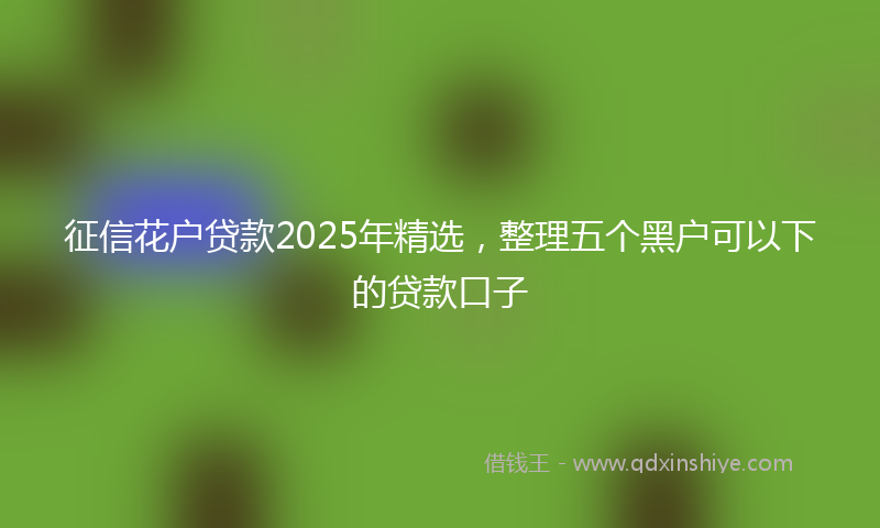 征信花户贷款2025年精选，整理五个黑户可以下的贷款口子