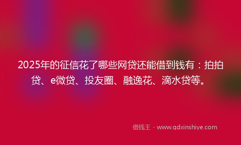 2025年的征信花了哪些网贷还能借到钱有：拍拍贷、e微贷、投友圈、融逸花、滴水贷等。