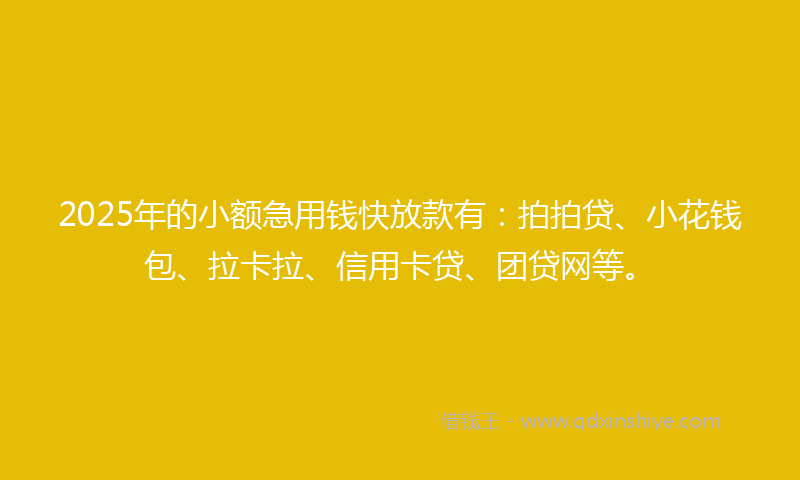 2025年的小额急用钱快放款有：拍拍贷、小花钱包、拉卡拉、信用卡贷、团贷网等。