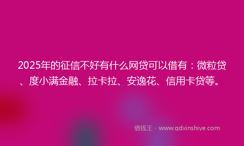 2025年的征信不好有什么网贷可以借有：微粒贷、度小满金融、拉卡拉、安逸花、信用卡贷等。
