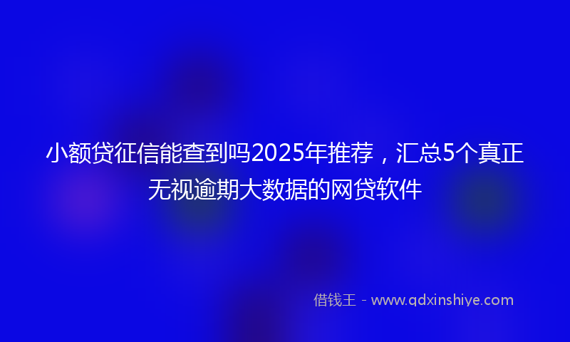 小额贷征信能查到吗2025年推荐，汇总5个真正无视逾期大数据的网贷软件