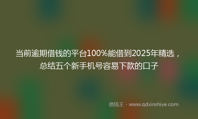 当前逾期借钱的平台100%能借到2025年精选，总结五个新手机号容易下款的口子