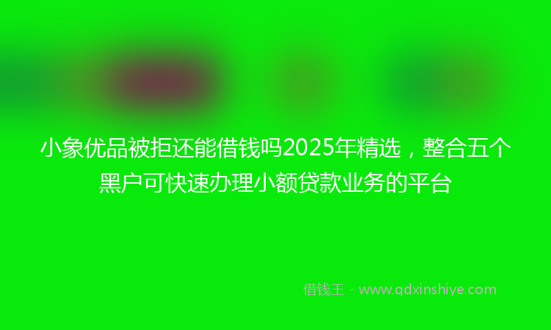 小象优品被拒还能借钱吗2025年精选，整合五个黑户可快速办理小额贷款业务的平台