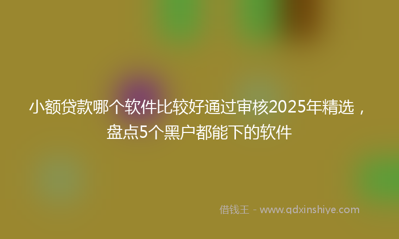 小额贷款哪个软件比较好通过审核2025年精选，盘点5个黑户都能下的软件