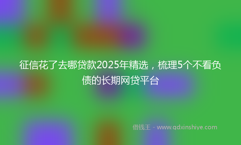 征信花了去哪贷款2025年精选，梳理5个不看负债的长期网贷平台