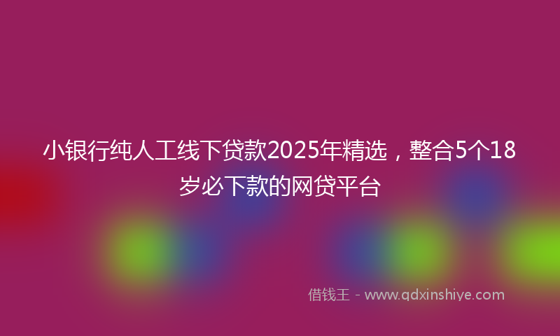小银行纯人工线下贷款2025年精选，整合5个18岁必下款的网贷平台