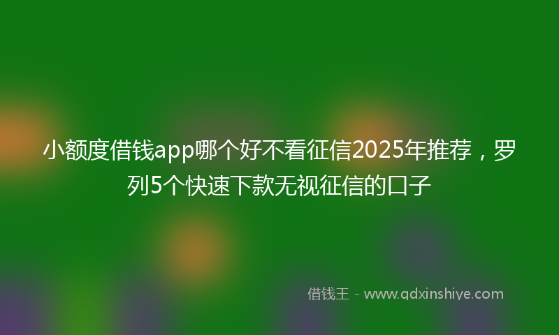 小额度借钱app哪个好不看征信2025年推荐，罗列5个快速下款无视征信的口子