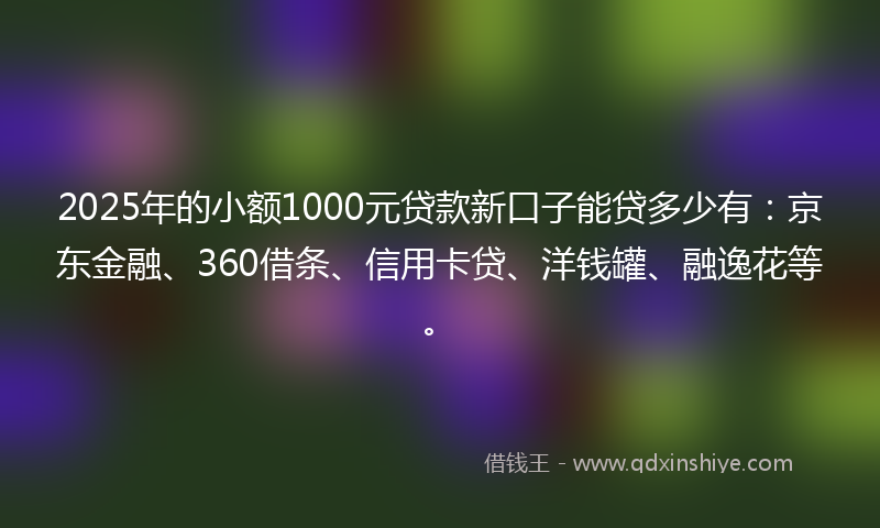 2025年的小额1000元贷款新口子能贷多少有：京东金融、360借条、信用卡贷、洋钱罐、融逸花等。