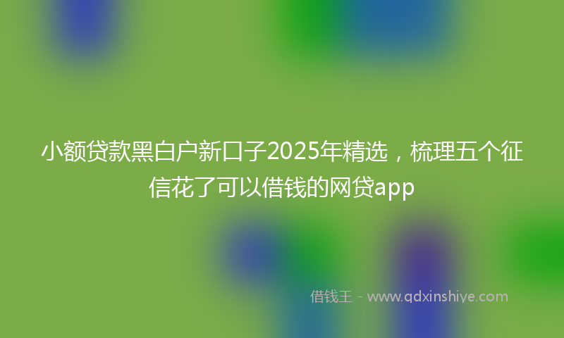 小额贷款黑白户新口子2025年精选，梳理五个征信花了可以借钱的网贷app