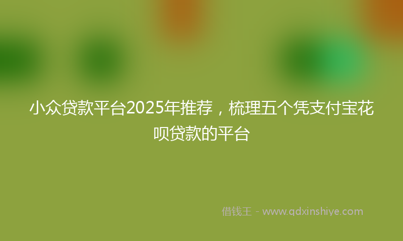 小众贷款平台2025年推荐，梳理五个凭支付宝花呗贷款的平台