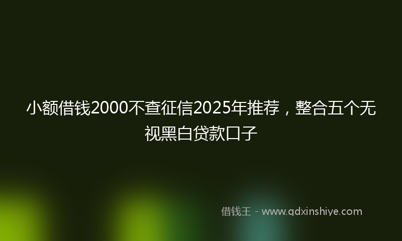 小额借钱2000不查征信2025年推荐，整合五个无视黑白贷款口子