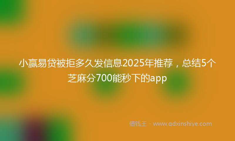 小赢易贷被拒多久发信息2025年推荐，总结5个芝麻分700能秒下的app