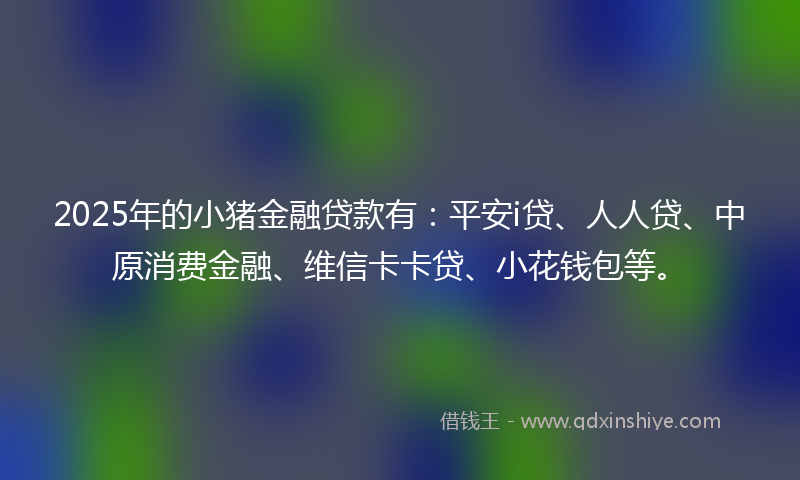 2025年的小猪金融贷款有：平安i贷、人人贷、中原消费金融、维信卡卡贷、小花钱包等。