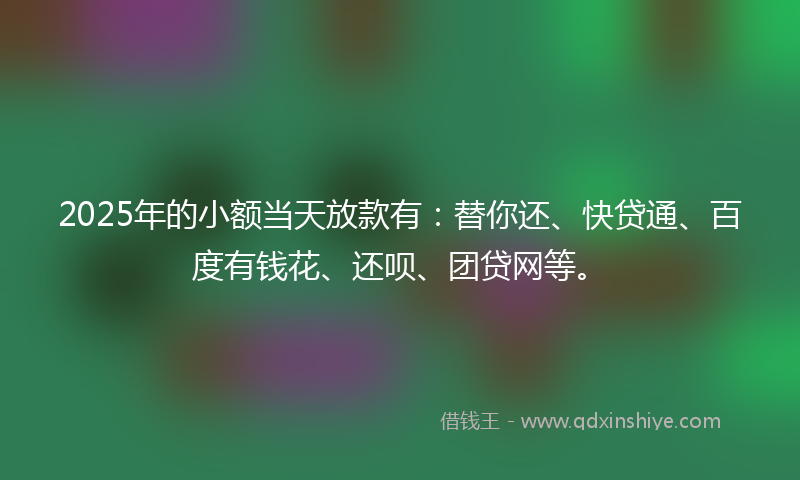 2025年的小额当天放款有：替你还、快贷通、百度有钱花、还呗、团贷网等。