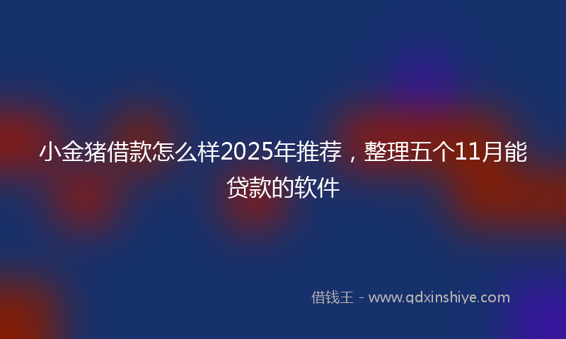 小金猪借款怎么样2025年推荐，整理五个11月能贷款的软件