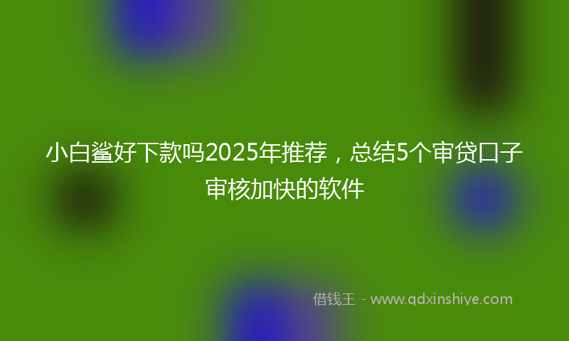 小白鲨好下款吗2025年推荐，总结5个审贷口子审核加快的软件