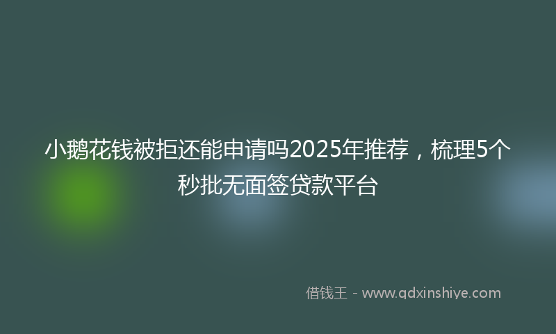 小鹅花钱被拒还能申请吗2025年推荐，梳理5个秒批无面签贷款平台
