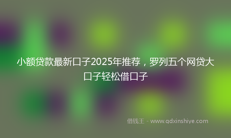 小额贷款最新口子2025年推荐，罗列五个网贷大口子轻松借口子