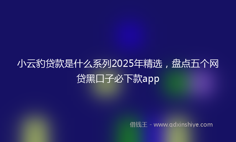 小云豹贷款是什么系列2025年精选，盘点五个网贷黑口子必下款app